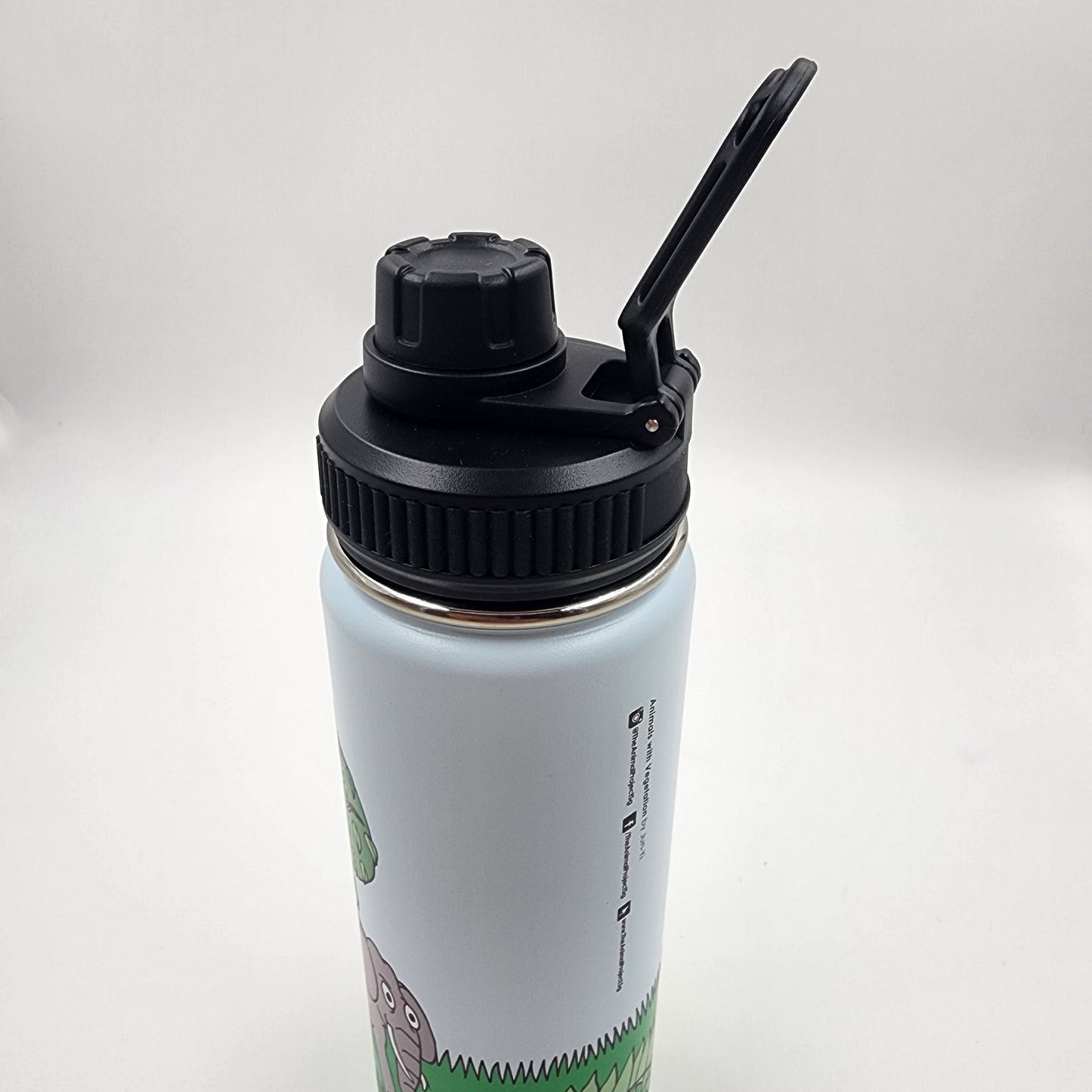 Thermal Bottle