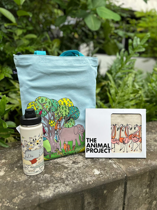 The World Expo 2025 Bundle