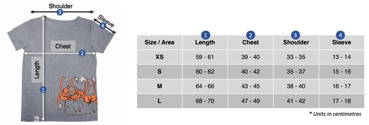 Ladies T-shirt - Flamingo Design - Size Chart
