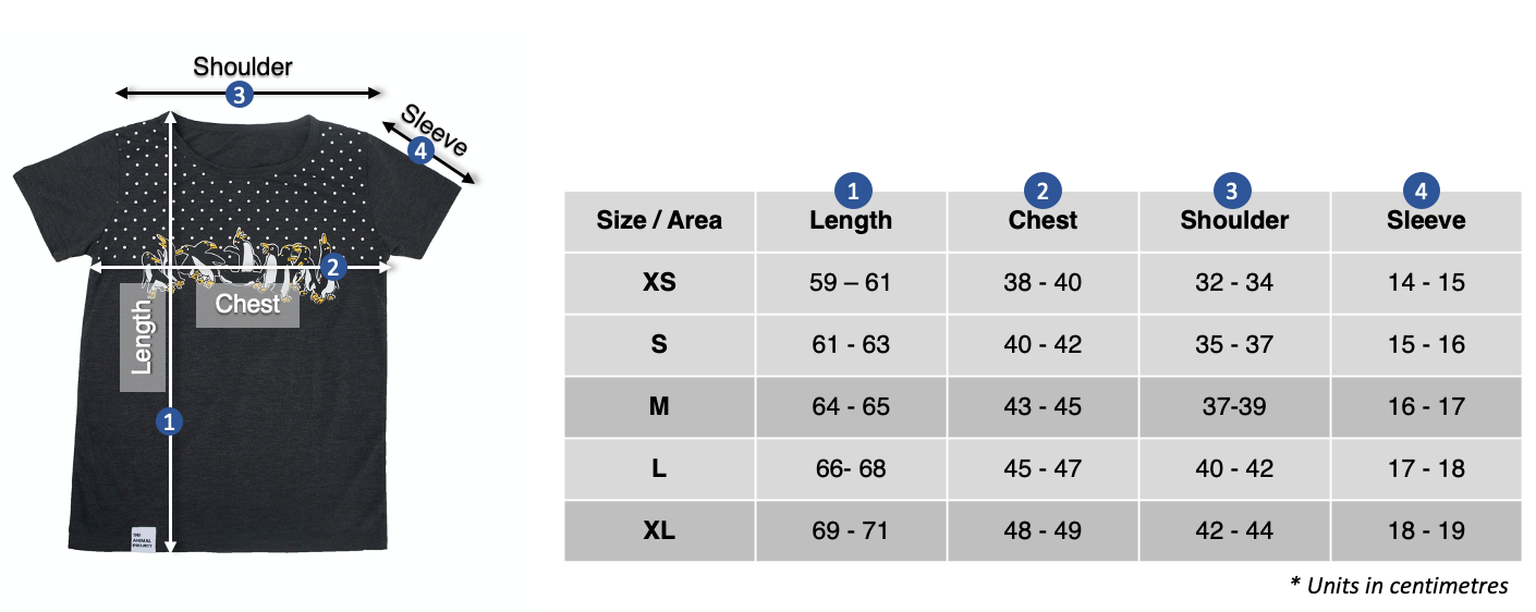 Ladies T-shirt - Penguin With Snow Design - Size Chart