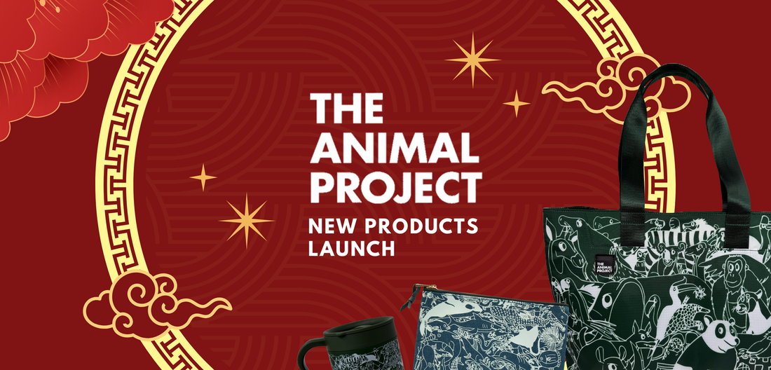 Happy New Year & New Products Launch