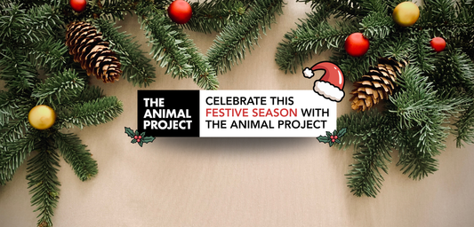 Celebrate The Festive Season With The Animal Project's Festive Bundles 2025