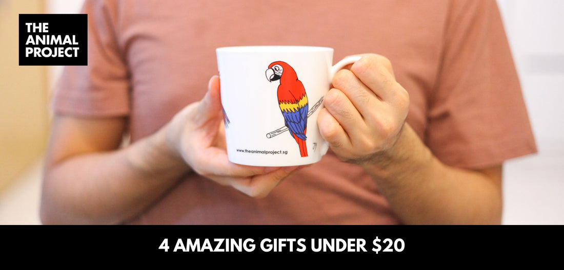 4 Amazing Gifts Under $20