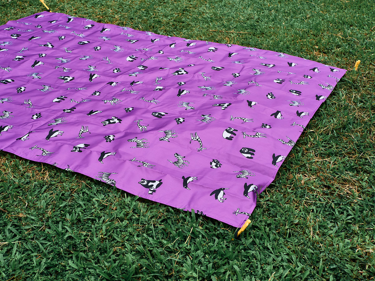 Picnic Mat