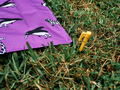 Picnic Mat