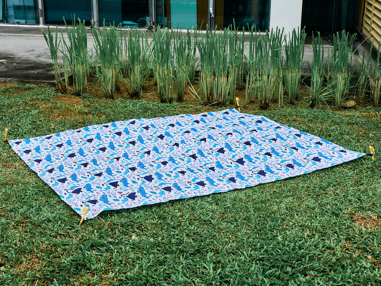 Picnic Mat