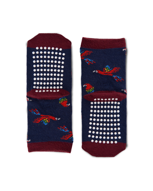 Babies Socks - Macaw