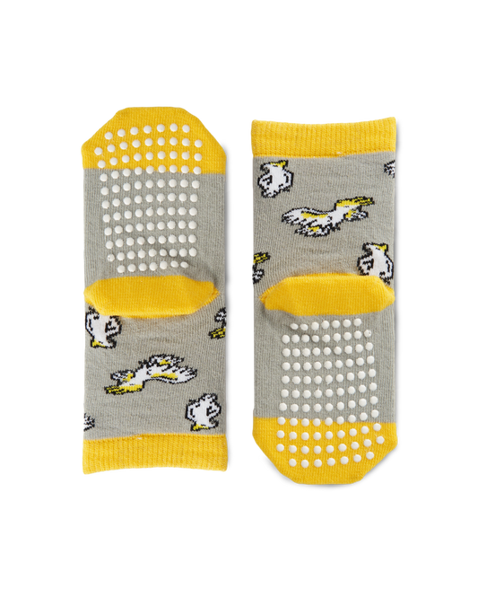 Babies Socks - Cockatoo